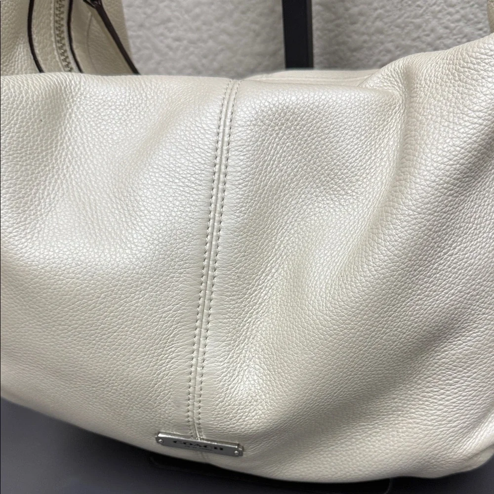 Coach Avery Pearlescent Small Hobo